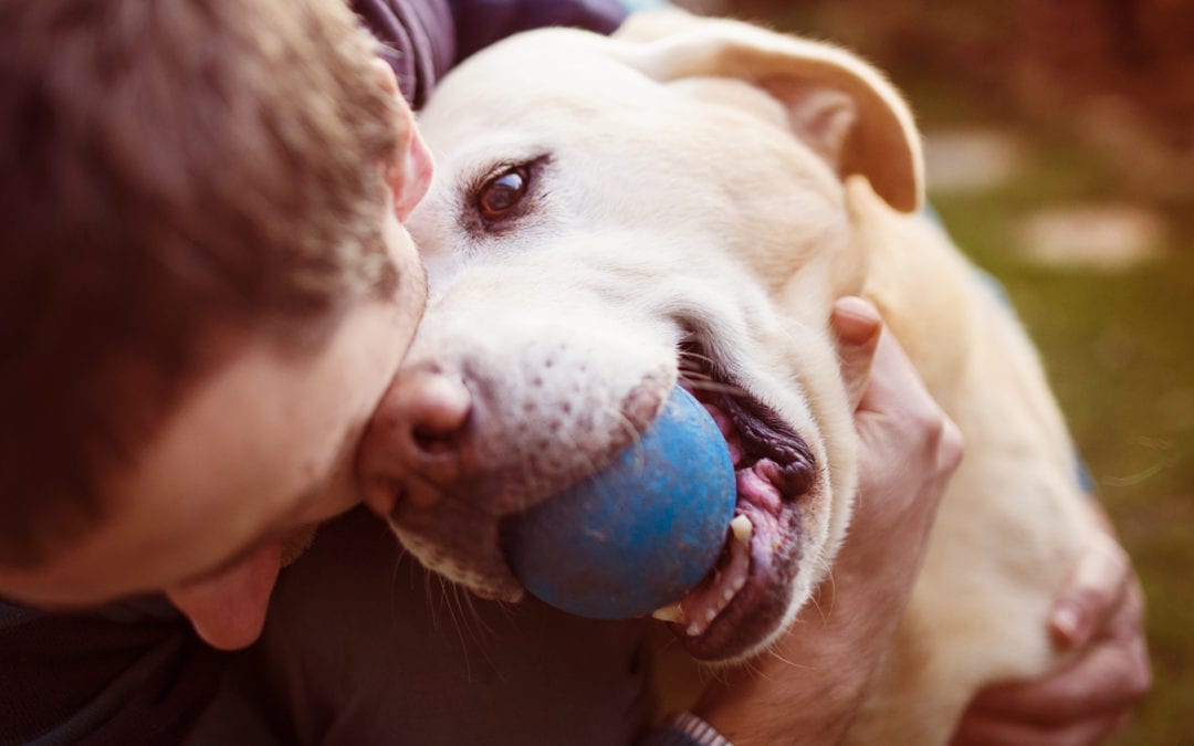 How to help your choking dog