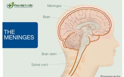 Meningitis in Teenagers – The Unknown Dangers