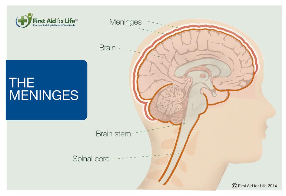 Meningitis in Teenagers – The Unknown Dangers