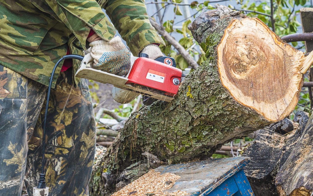 Why bank holidays are so dangerous and 14 tips for safe DIY!