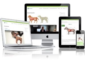 Dog first aid courses online