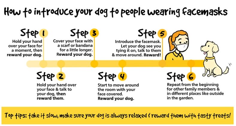 dog masks
