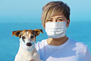 How to introduce face masks to your dog for a stress-free lockdown