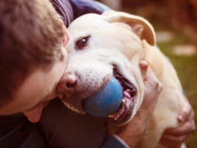 Free Online Dogs Choking Course