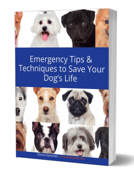 Emergency Tips & Techniques to Save Your Dog's Life