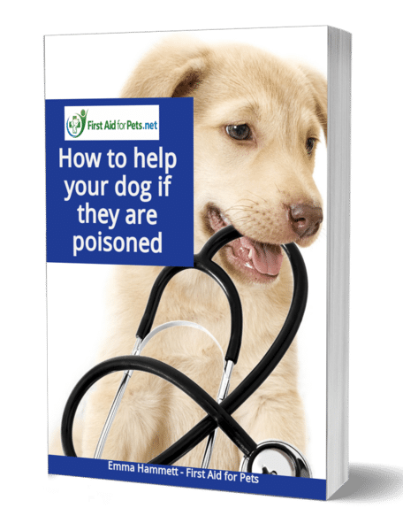 How to help your dog if they are poisoned