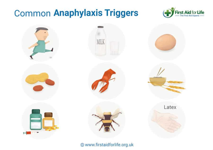 Common Anaphylaxis Triggers poster