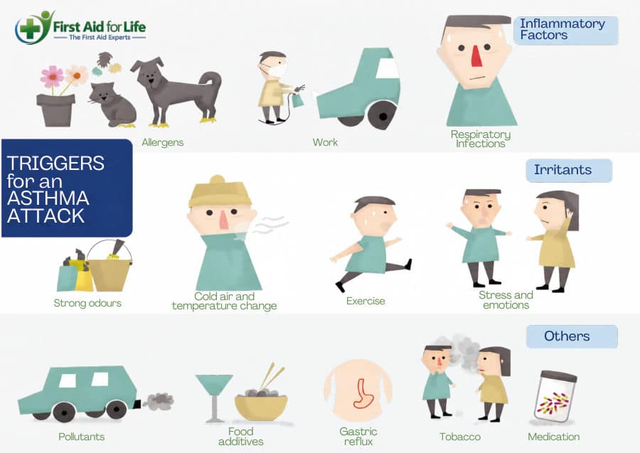 Asthma Attack Triggers poster