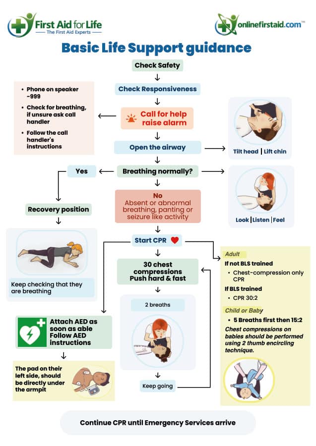 Basic Life Support for Adults poster