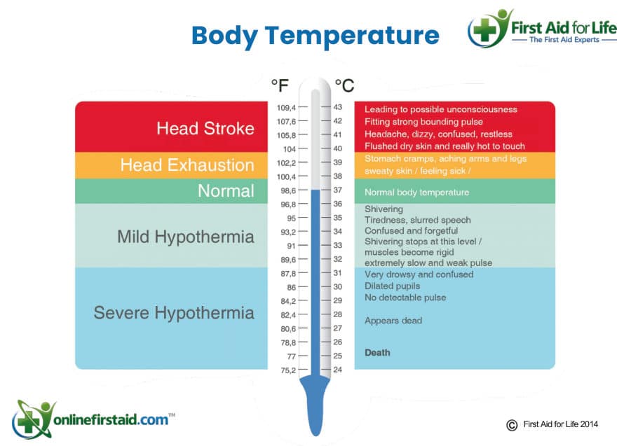 Body Temperature: From Heatstroke to Hypothermia poster